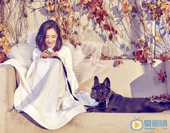 王智婚纱写真 王智高清写真_王智高清剧照