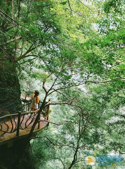 汤斯婷旅游照 汤斯婷高清写真_汤斯婷高清剧照