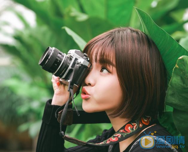 汤斯婷绿色写真 汤斯婷高清写真_汤斯婷高清剧照