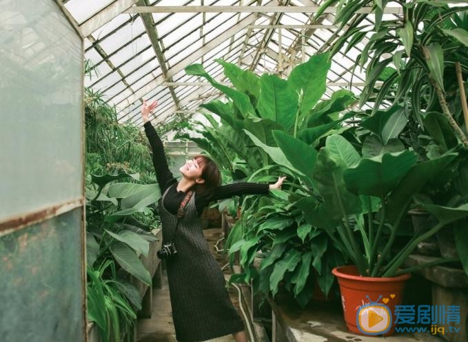 汤斯婷绿色写真 汤斯婷高清写真_汤斯婷高清剧照