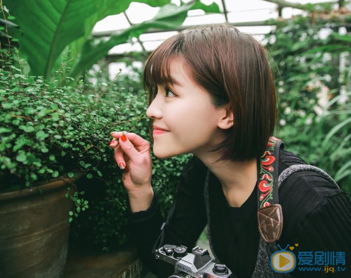 汤斯婷绿色写真 汤斯婷高清写真_汤斯婷高清剧照