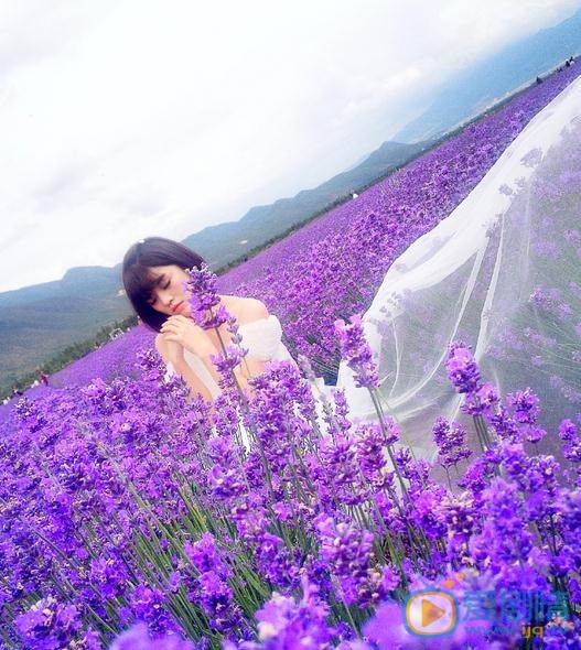 汤斯婷婚纱写真 汤斯婷高清写真_汤斯婷高清剧照