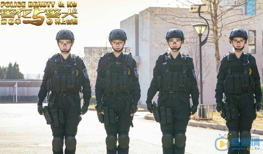 陈美霖《警花与警犬之再上征程》剧照 陈美霖高清写真_陈美霖高清剧照