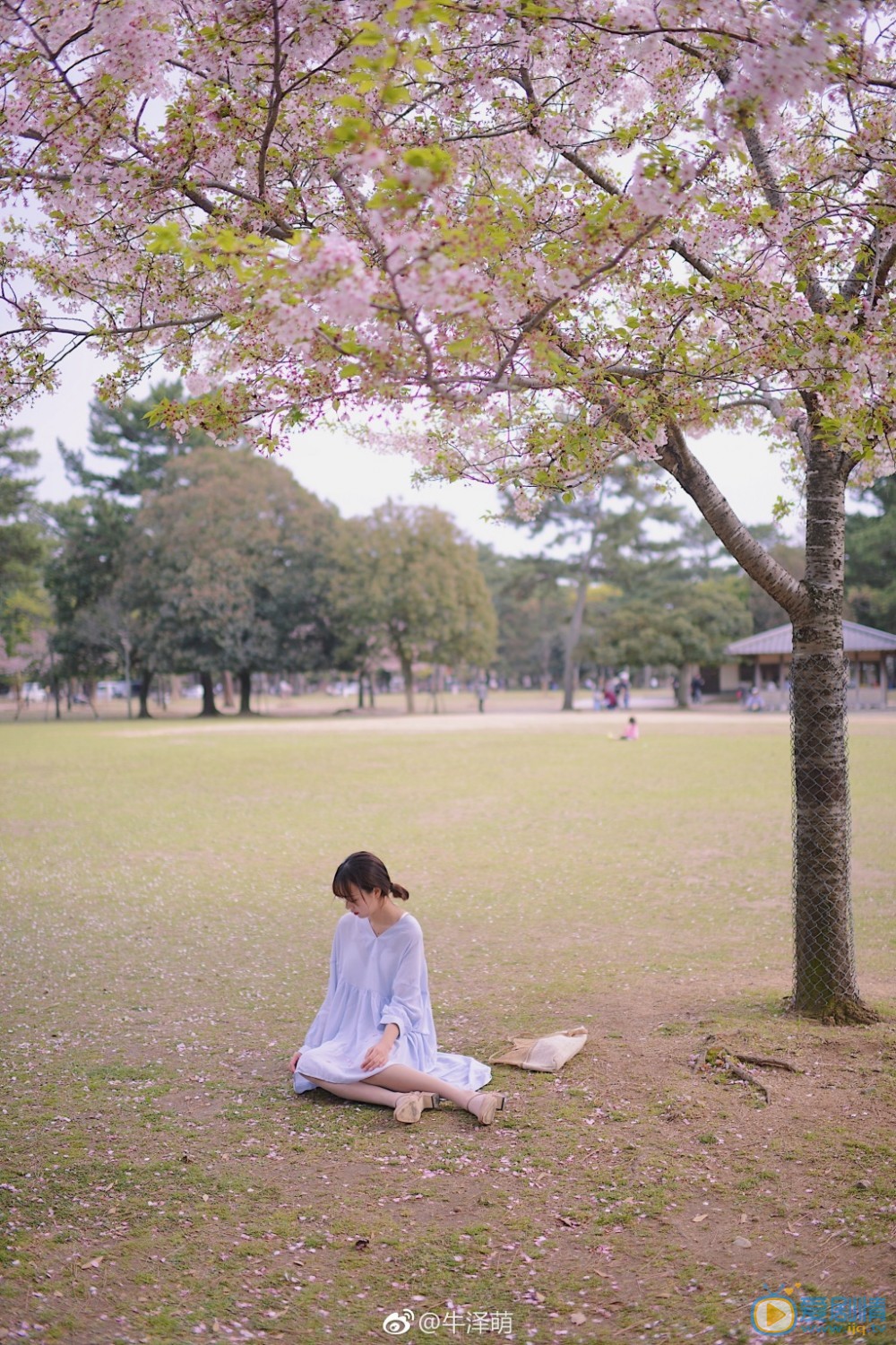 牛泽萌旅行写真 牛泽萌高清写真_牛泽萌高清剧照