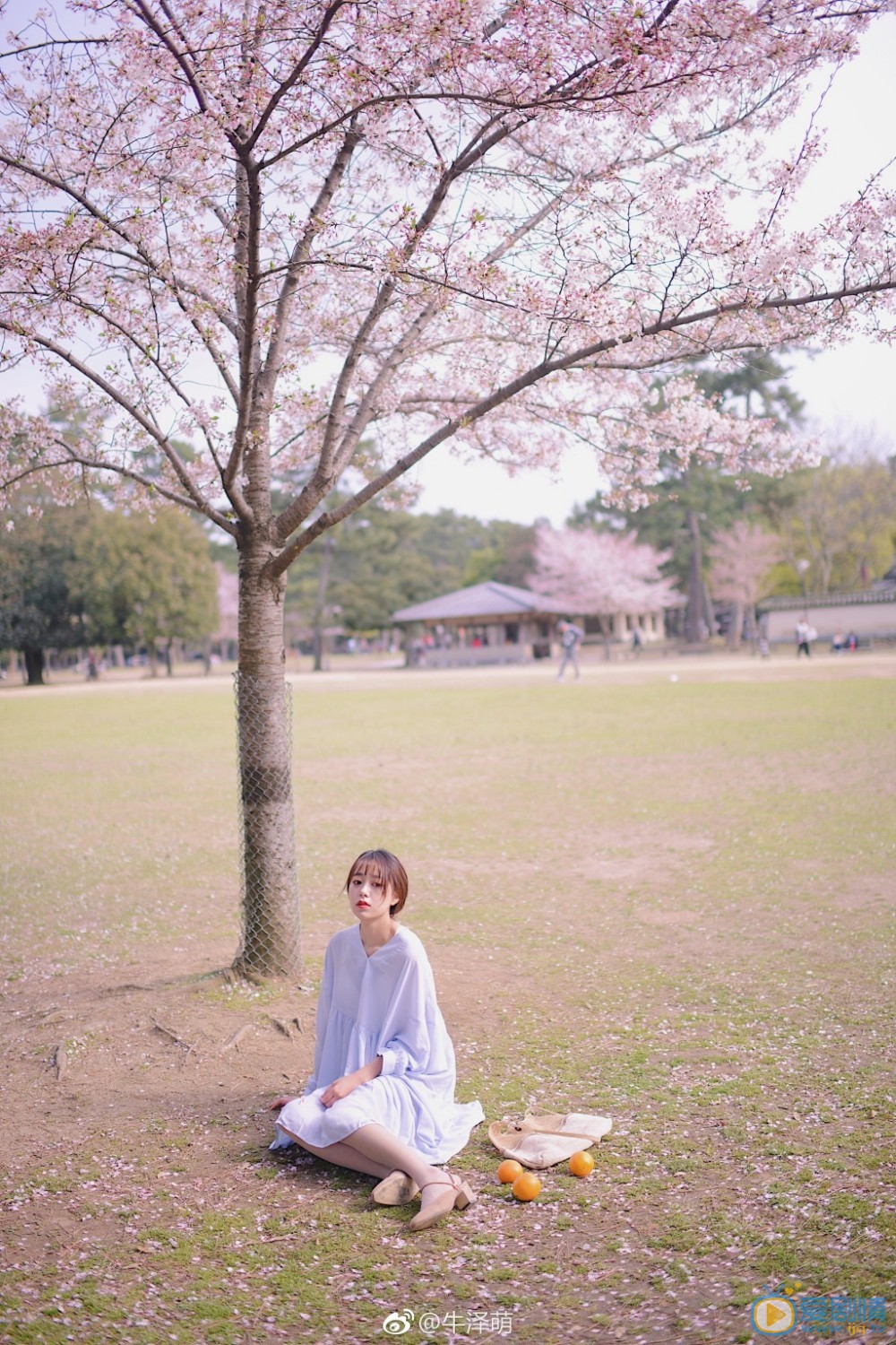 牛泽萌旅行写真 牛泽萌高清写真_牛泽萌高清剧照
