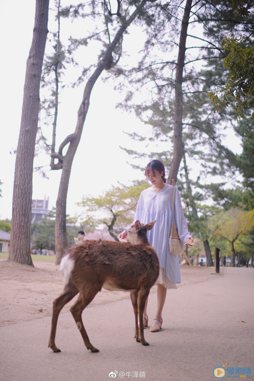 牛泽萌旅行写真 牛泽萌高清写真_牛泽萌高清剧照