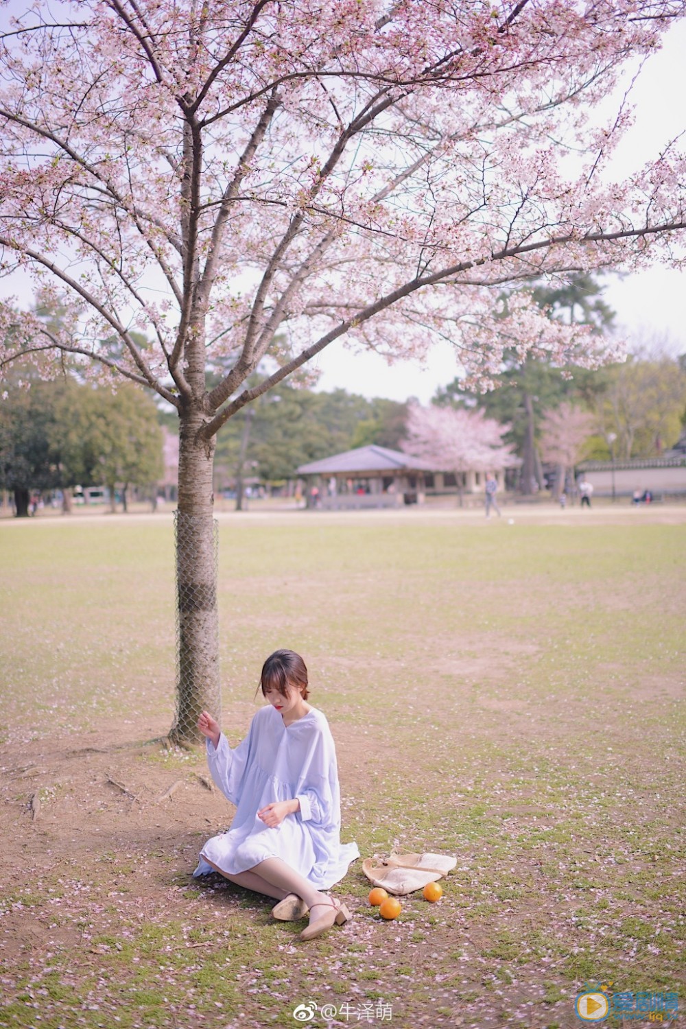 牛泽萌旅行写真 牛泽萌高清写真_牛泽萌高清剧照