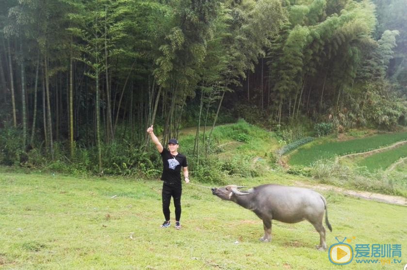 李东翰生活照 李东翰高清写真_李东翰高清剧照