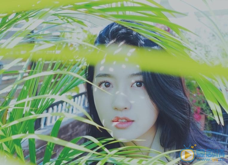 许龄月清新写真 许龄月高清写真_许龄月高清剧照