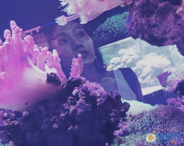 杨小兰片场照 杨小兰高清写真_杨小兰高清剧照
