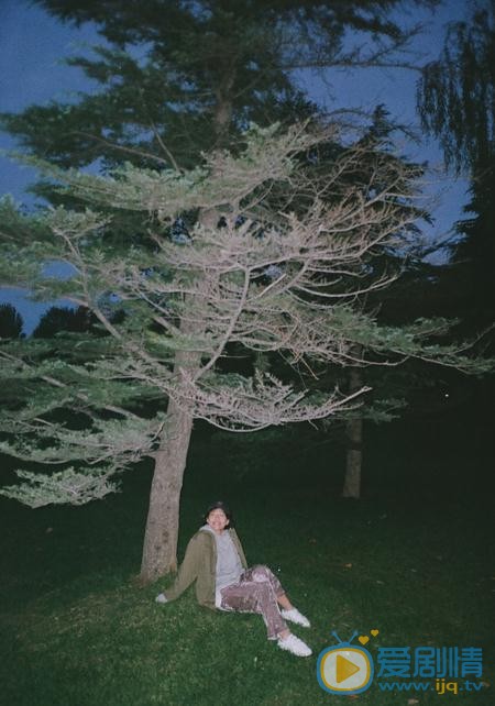 杨小兰夜色写真 杨小兰高清写真_杨小兰高清剧照