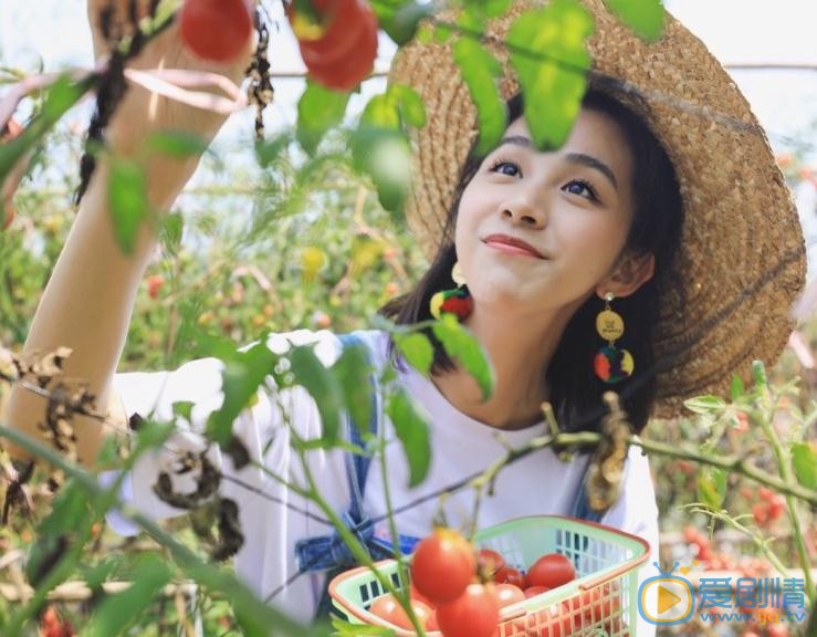 杨晞其他写真 杨晞高清写真_杨晞高清剧照