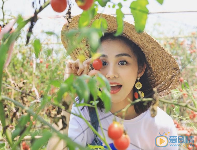 杨晞其他写真 杨晞高清写真_杨晞高清剧照
