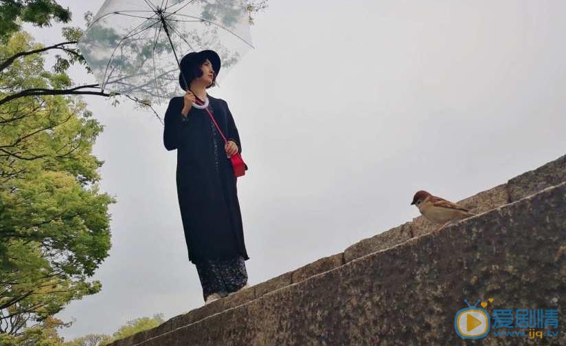 商蓉唯美照片 商蓉高清写真_商蓉高清剧照
