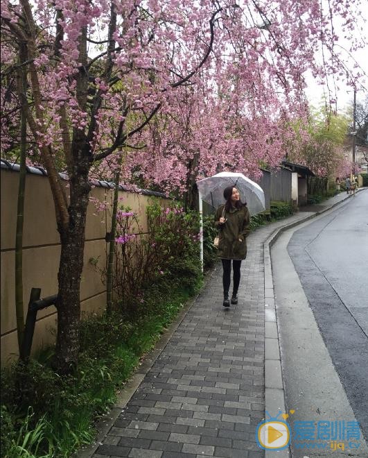 屈玥旅行照 屈玥高清写真_屈玥高清剧照