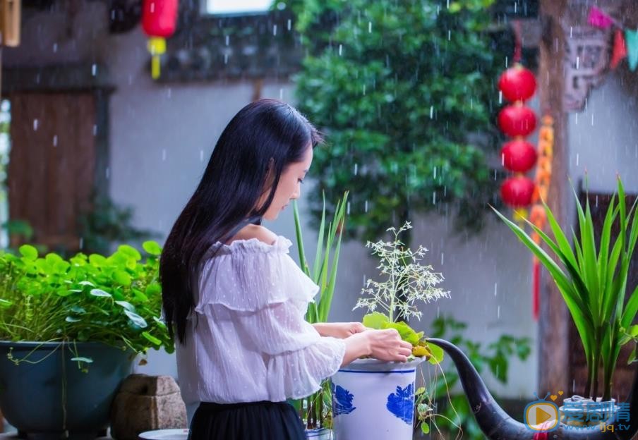 龙馨悦《江湖赌霸》剧照 龙馨悦高清写真_龙馨悦高清剧照