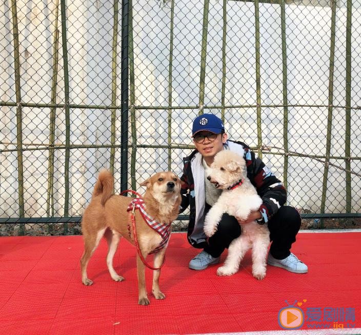 杨迪生活照 杨迪高清写真_杨迪高清剧照