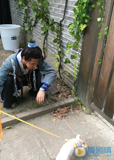 陈信喆片场照 陈信喆高清写真_陈信喆高清剧照