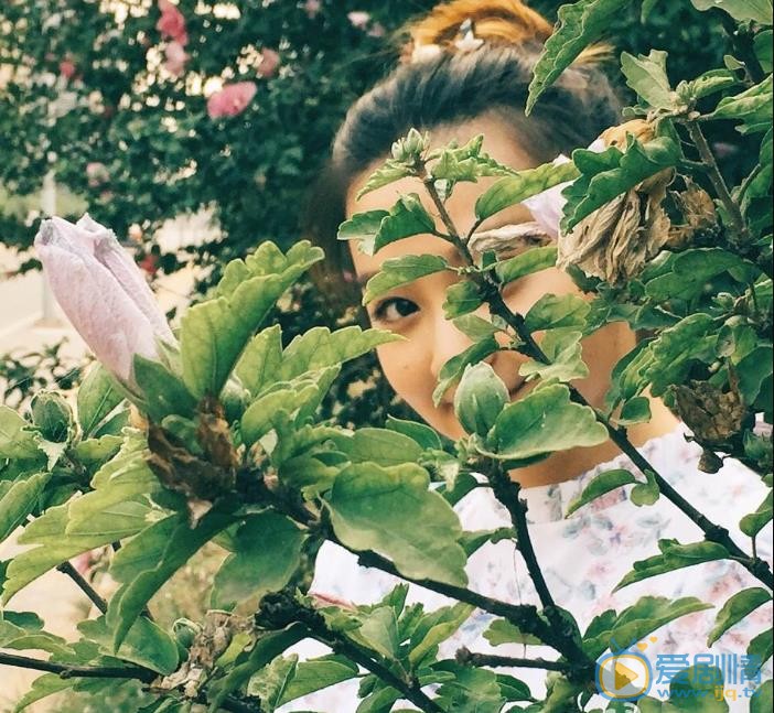 杨丽晓街拍写真 杨丽晓高清写真_杨丽晓高清剧照