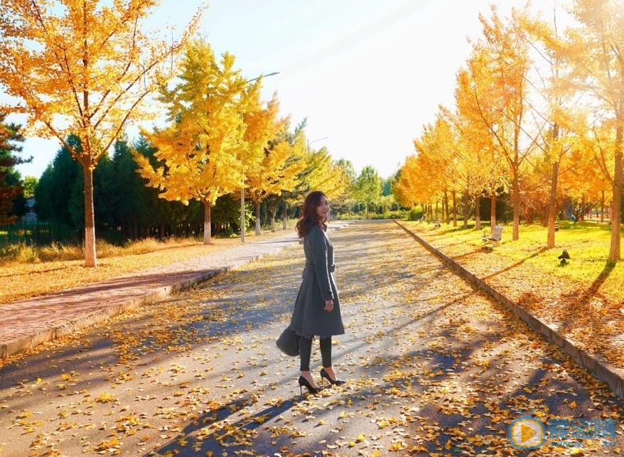 李欣颖唯美街拍 李欣颖高清写真_李欣颖高清剧照
