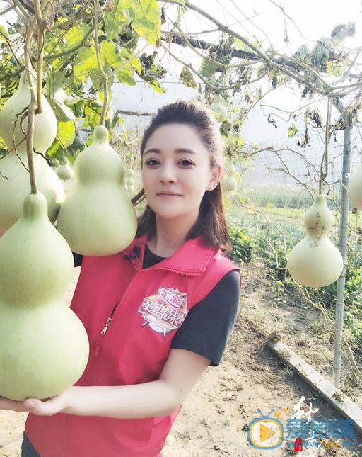 陈佳妍《星厨集结号》节目照 陈佳妍高清写真_陈佳妍高清剧照