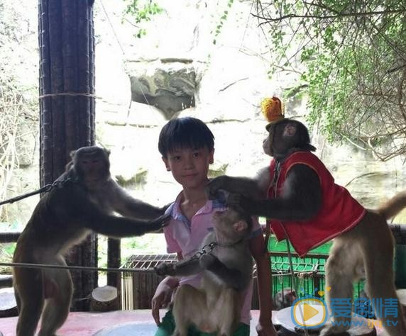 彭艺博生活照 彭艺博高清写真_彭艺博高清剧照