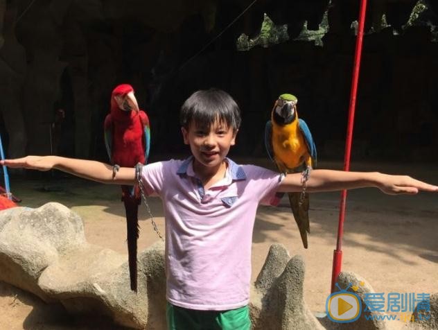 彭艺博生活照 彭艺博高清写真_彭艺博高清剧照