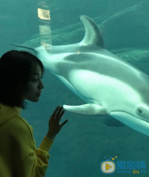 温晴旅游照 温晴高清写真_温晴高清剧照
