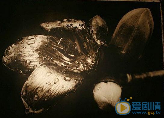 周润发摄影写集 周润发高清写真_周润发高清剧照