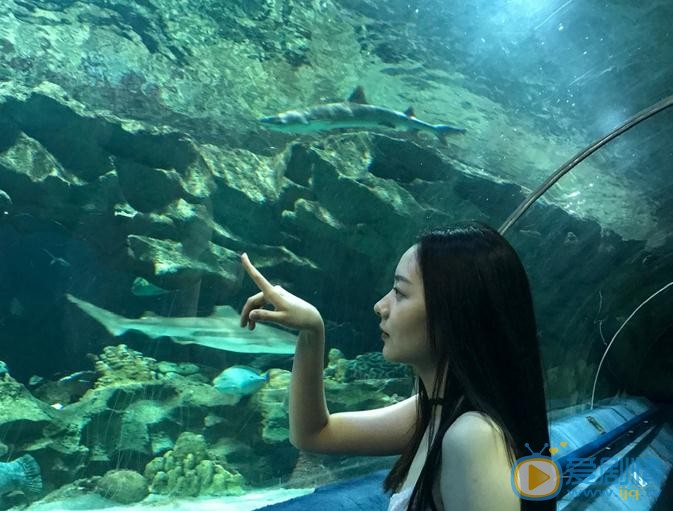 钟黎黎旅游照 钟黎黎高清写真_钟黎黎高清剧照