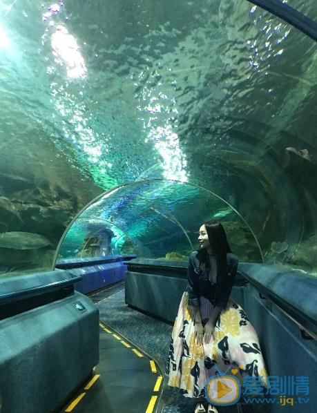钟黎黎旅游照 钟黎黎高清写真_钟黎黎高清剧照