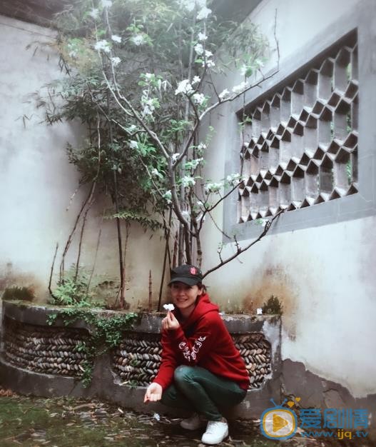 杨静儿旅行照片 杨静儿高清写真_杨静儿高清剧照