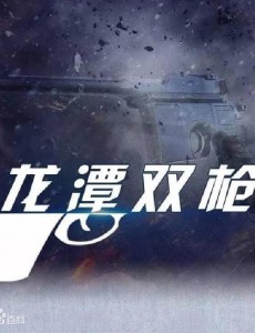 龙潭双枪