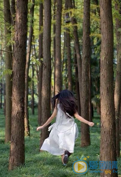 王妍言森林写真 王妍言高清写真_王妍言高清剧照