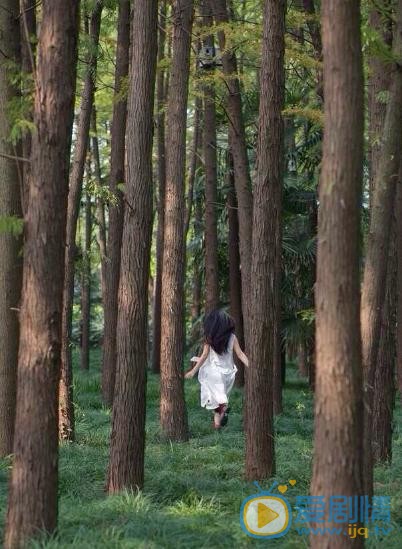 王妍言森林写真 王妍言高清写真_王妍言高清剧照