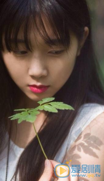 王妍言森林写真 王妍言高清写真_王妍言高清剧照