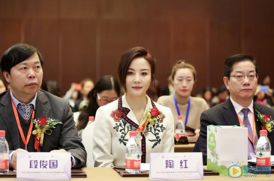 陶红活动照 陶红高清写真_陶红高清剧照