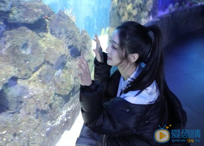 戚砚笛写真 戚砚笛高清写真_戚砚笛高清剧照