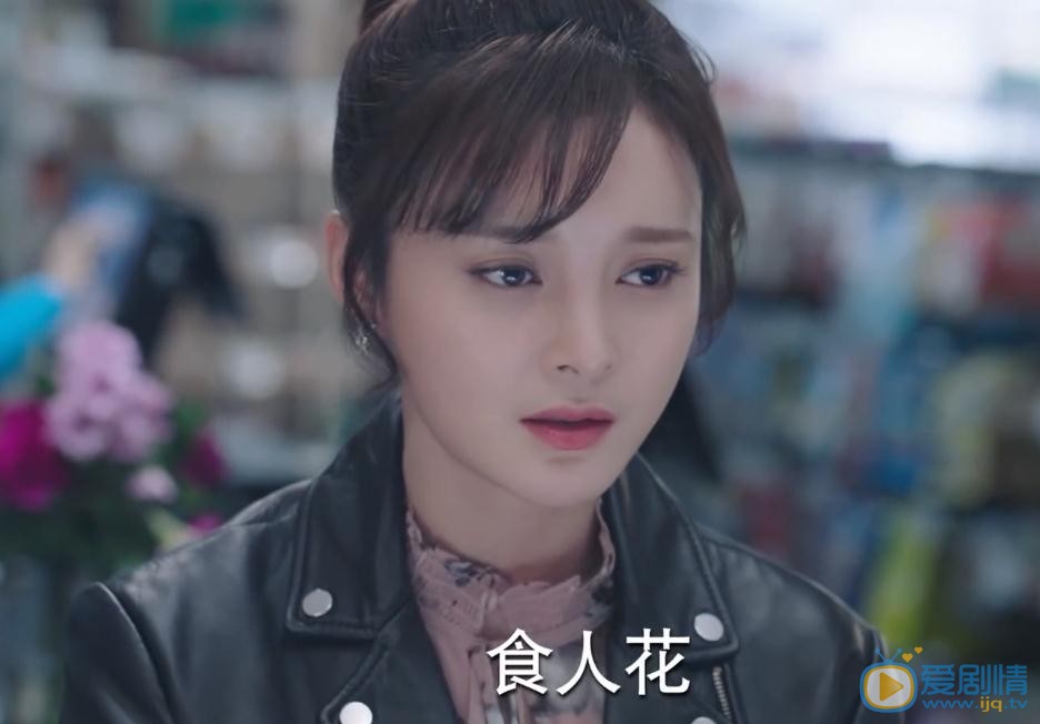 一千零一夜路宝妮喜欢谁？路宝妮喜欢莫南吗？