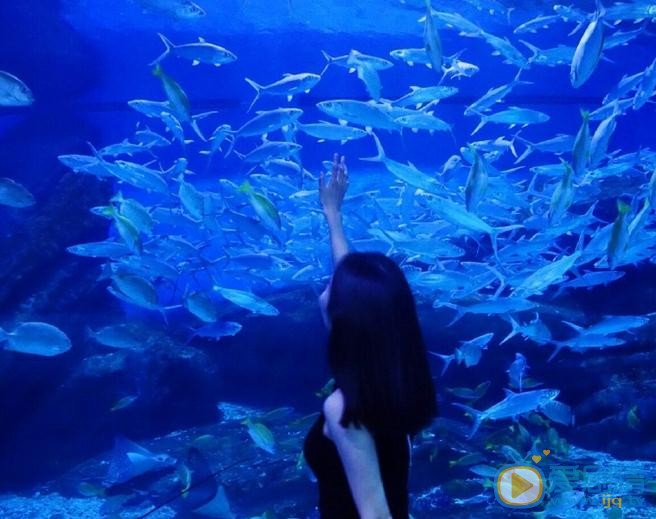 林田媛气质写真 林田媛高清写真_林田媛高清剧照