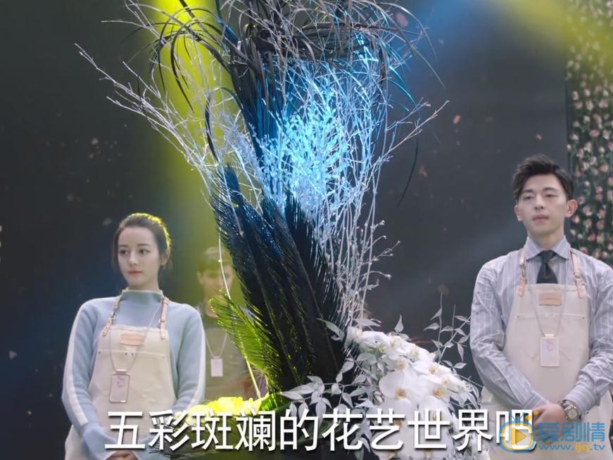 一千零一夜柏海为什么做黑白灰的永生花？黑白灰的永生花有什么含义？