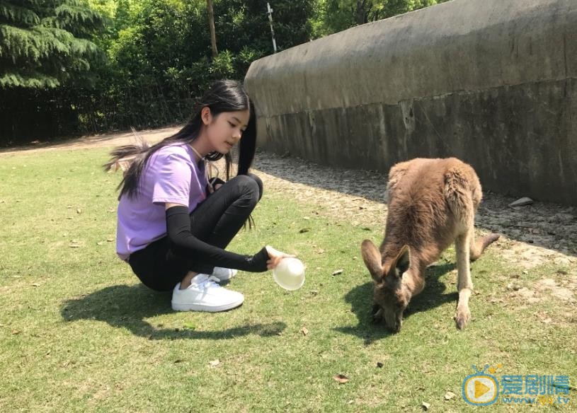 赵蕴卓旅行照 赵蕴卓高清写真_赵蕴卓高清剧照