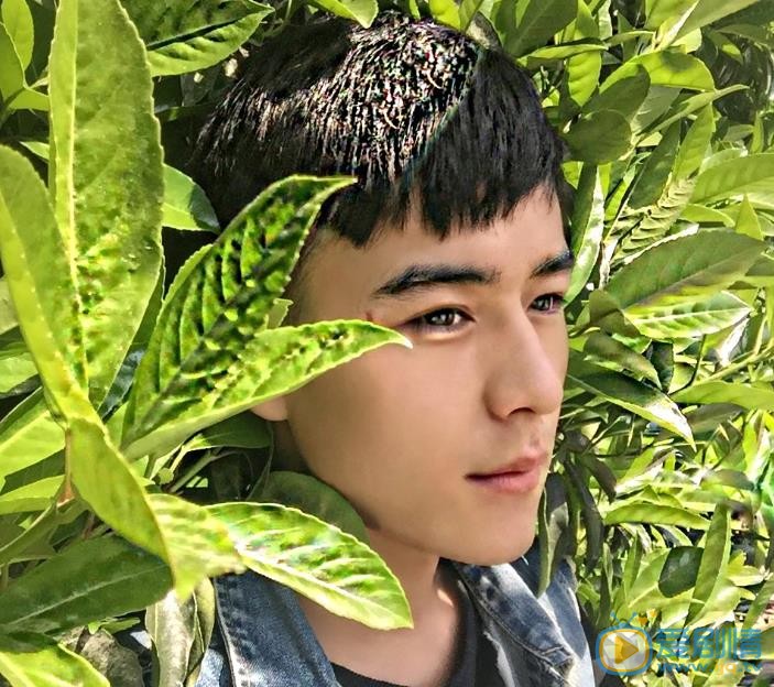 董成明时尚大片 董成明高清写真_董成明高清剧照