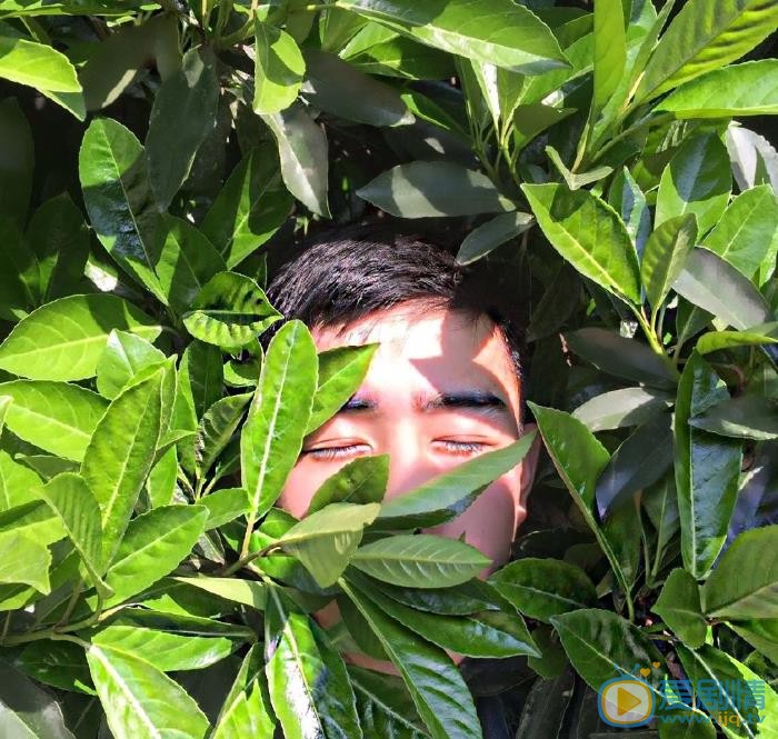 董成明时尚大片 董成明高清写真_董成明高清剧照