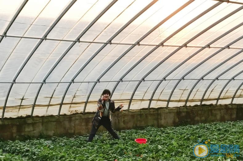 刘小小旅行大片 刘小小高清写真_刘小小高清剧照