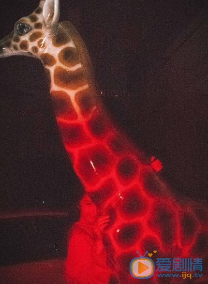 周奕彤文艺写真 周奕彤高清写真_周奕彤高清剧照