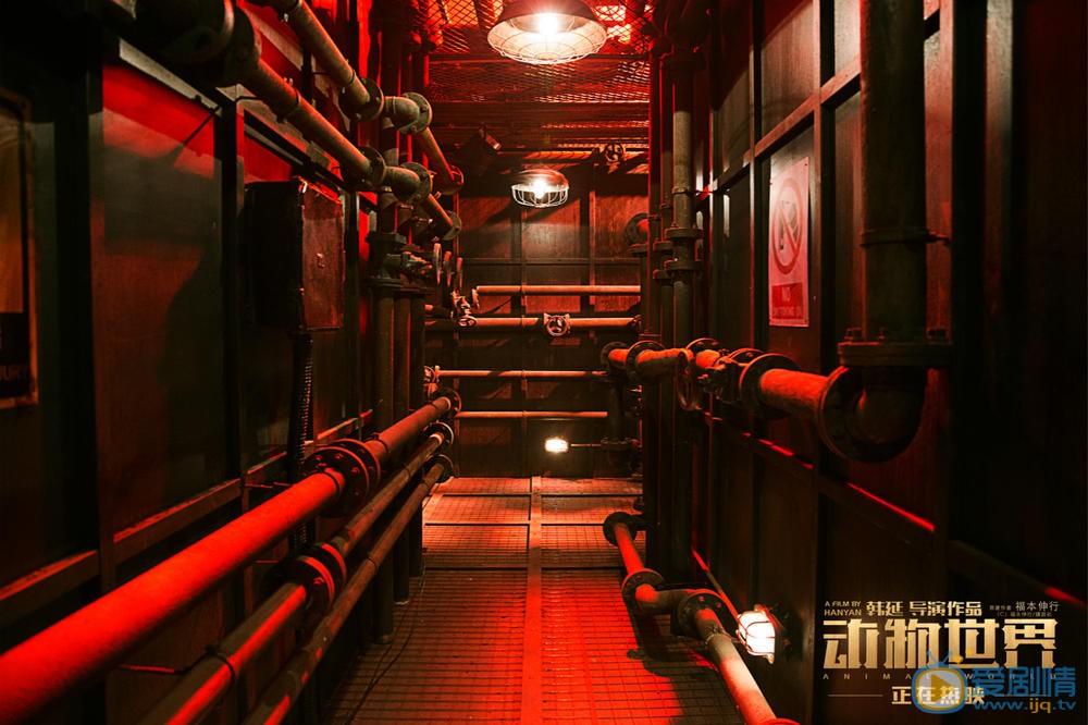 官方剧照 