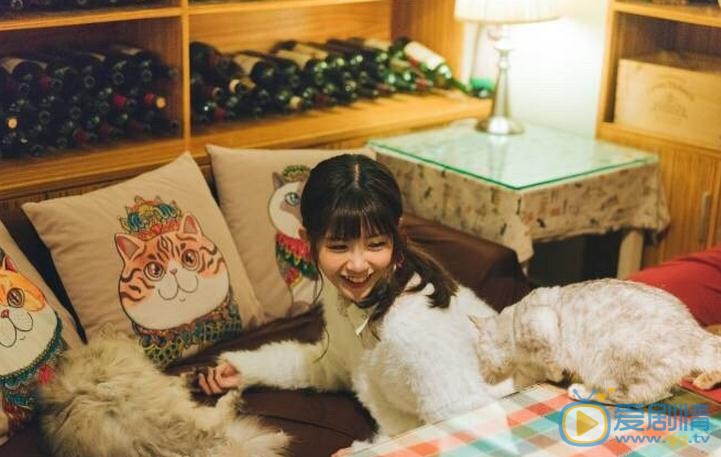 赖美云气质写真 赖美云高清写真_赖美云高清剧照