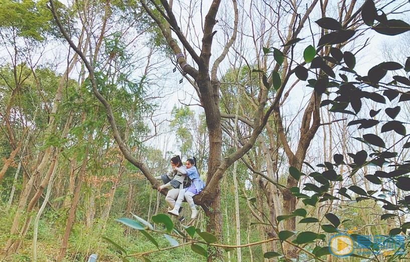 暴走武林学园剧照