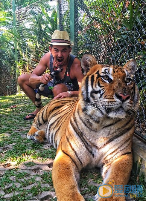 杨竣羽旅行大片 杨竣羽高清写真_杨竣羽高清剧照